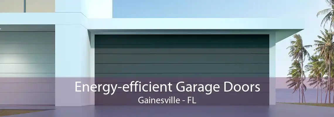 Energy-efficient Garage Doors Gainesville - FL