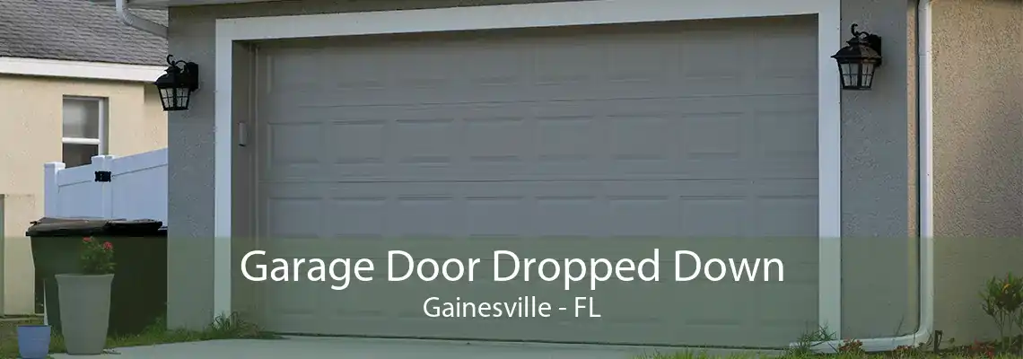 Garage Door Dropped Down Gainesville - FL