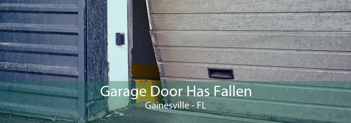 Garage Door Has Fallen Gainesville - FL