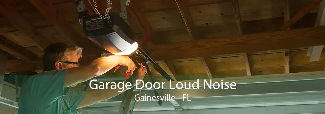 Garage Door Loud Noise Gainesville - FL