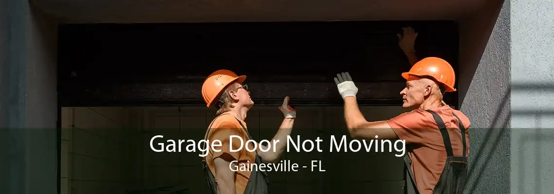 Garage Door Not Moving Gainesville - FL