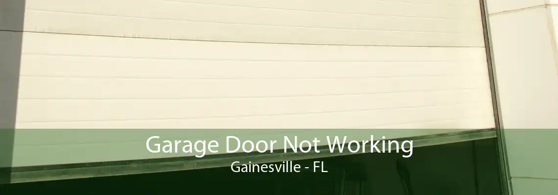 Garage Door Not Working Gainesville - FL