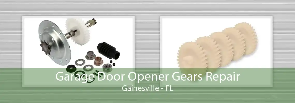 Garage Door Opener Gears Repair Gainesville - FL