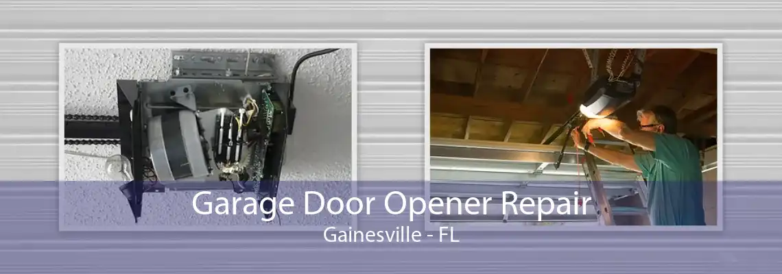 Garage Door Opener Repair Gainesville - FL