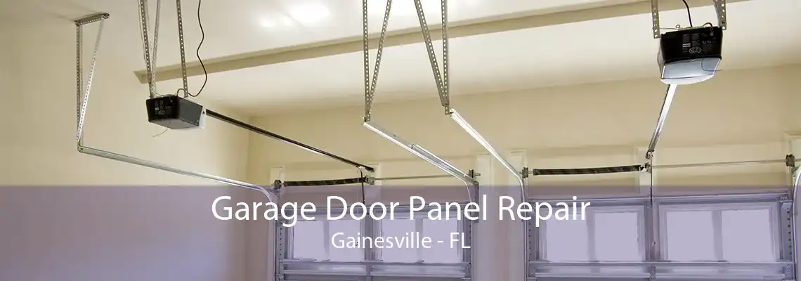 Garage Door Panel Repair Gainesville - FL