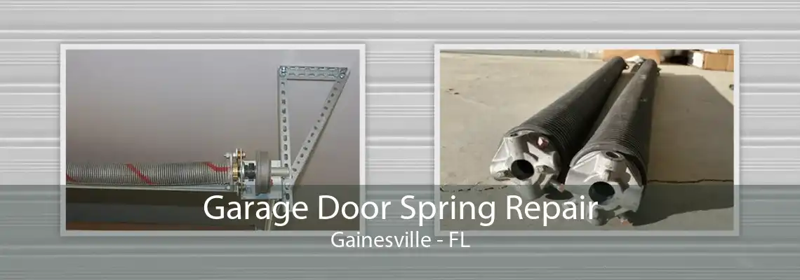 Garage Door Spring Repair Gainesville - FL