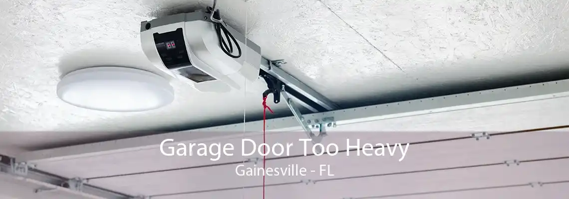 Garage Door Too Heavy Gainesville - FL