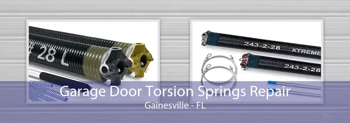 Garage Door Torsion Springs Repair Gainesville - FL