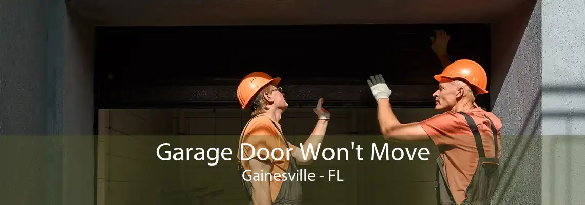 Garage Door Won't Move Gainesville - FL