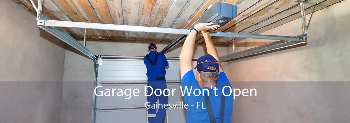 Garage Door Won't Open Gainesville - FL