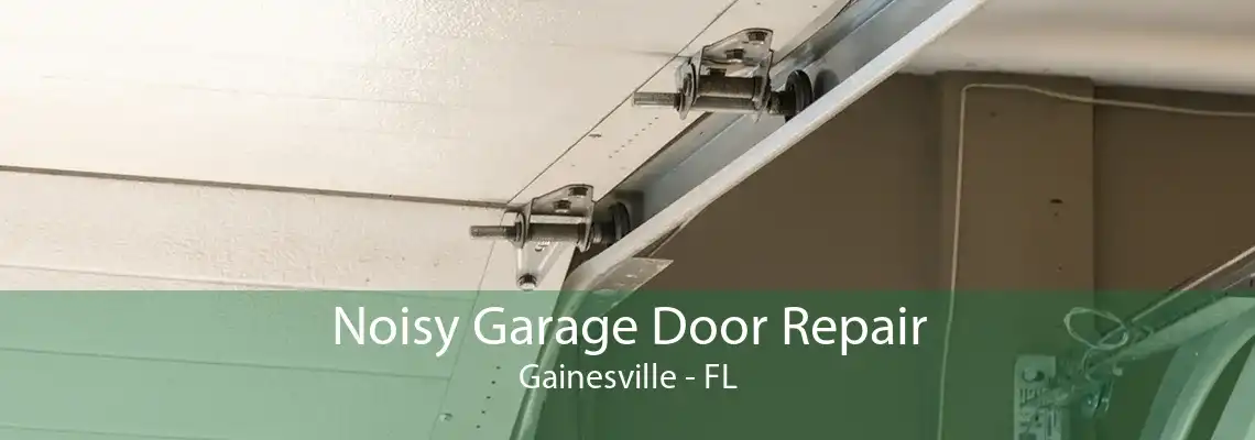 Noisy Garage Door Repair Gainesville - FL