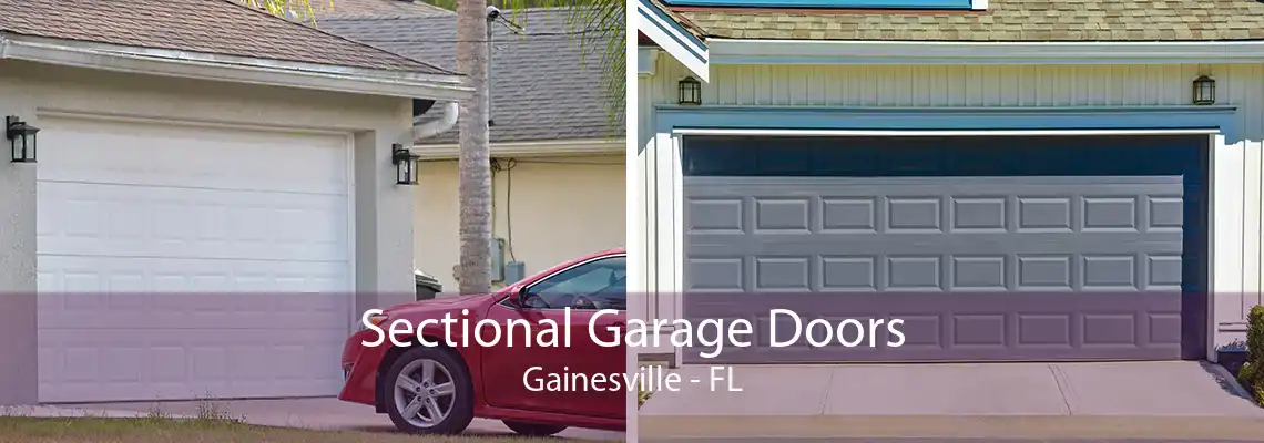 Sectional Garage Doors Gainesville - FL